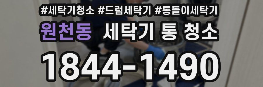 원천동 세탁기 통 청소