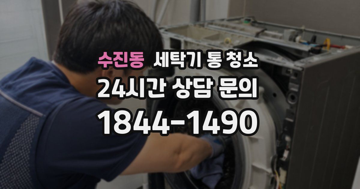 수진동 세탁기 통 청소