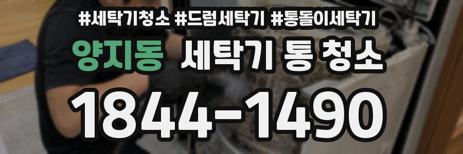 양지동 세탁기 통 청소