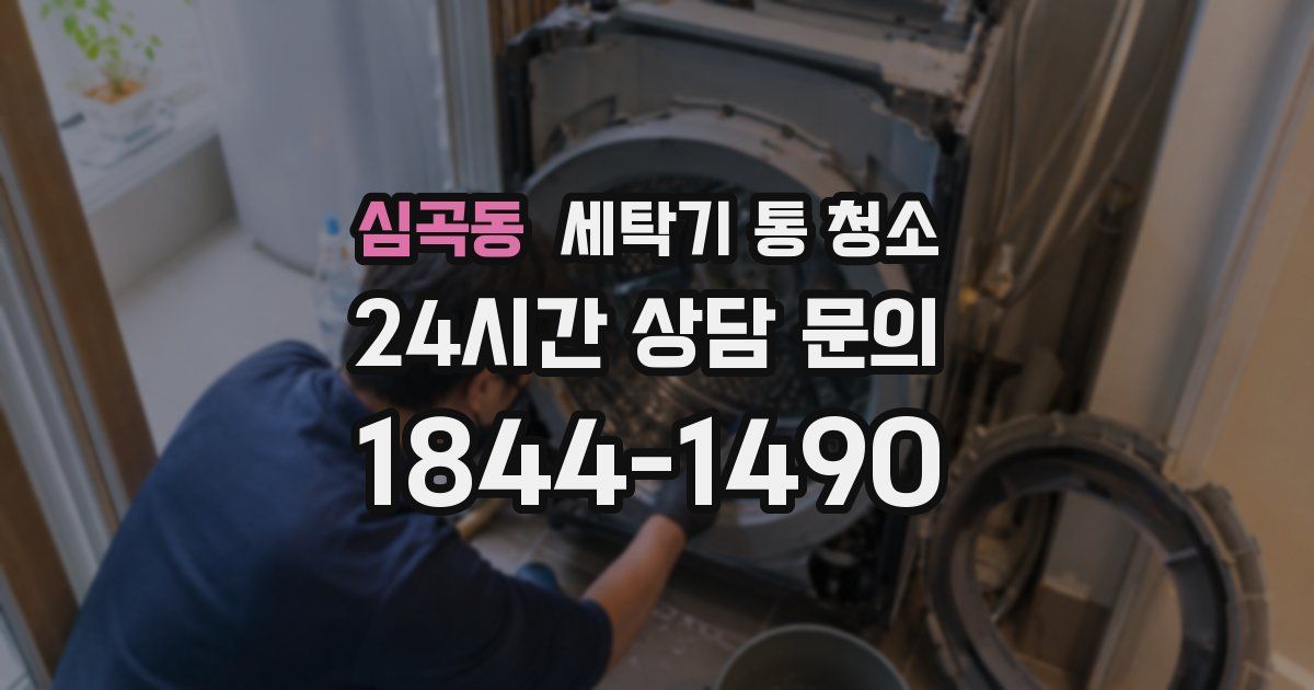 심곡동 세탁기 통 청소
