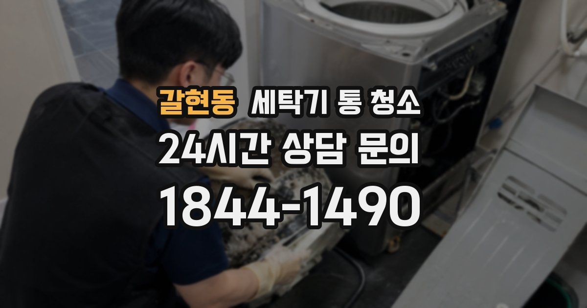 갈현동 세탁기 통 청소