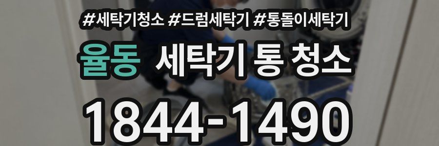 율동 세탁기 통 청소