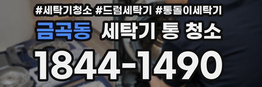 금곡동 세탁기 통 청소