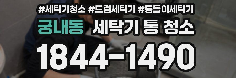 궁내동 세탁기 통 청소