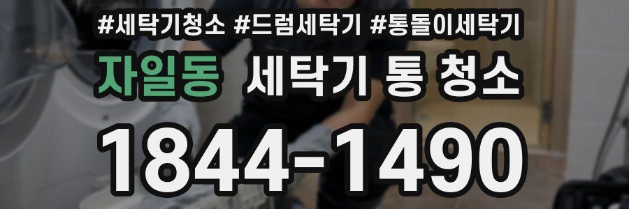 자일동 세탁기 통 청소