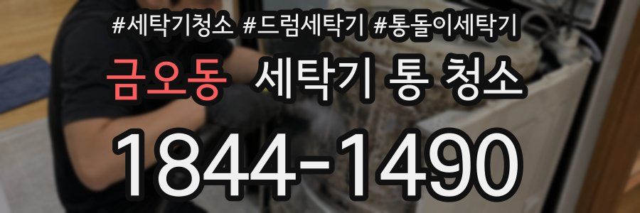 금오동 세탁기 통 청소