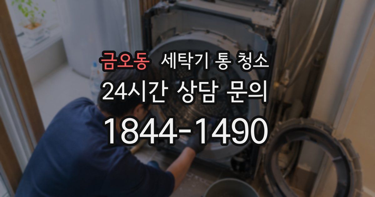 금오동 세탁기 통 청소