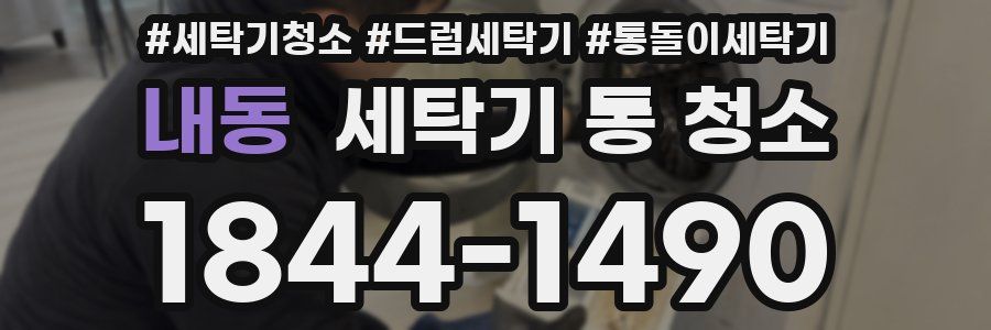 내동 세탁기 통 청소