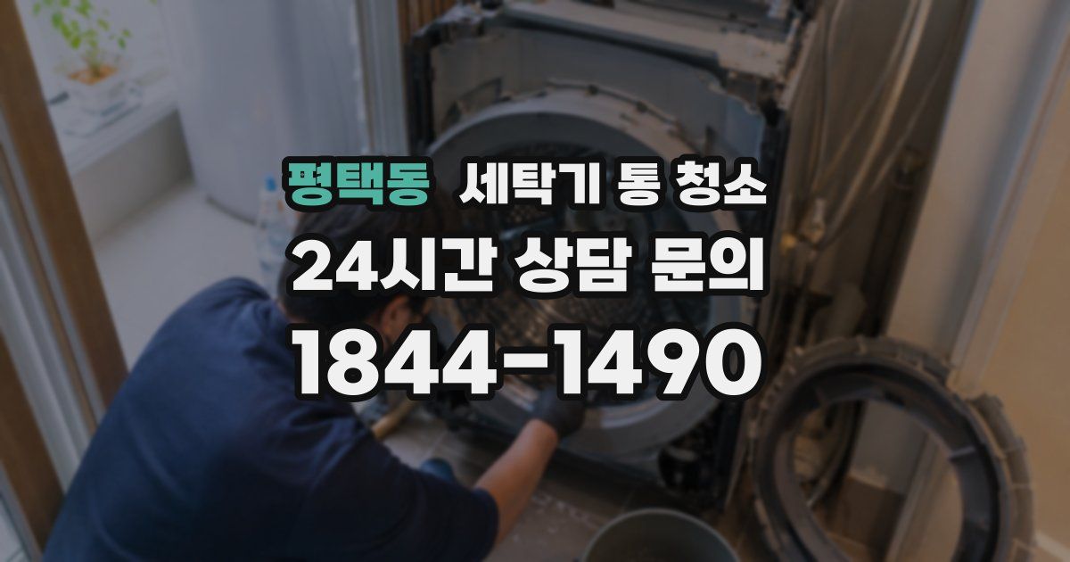 평택동 세탁기 통 청소