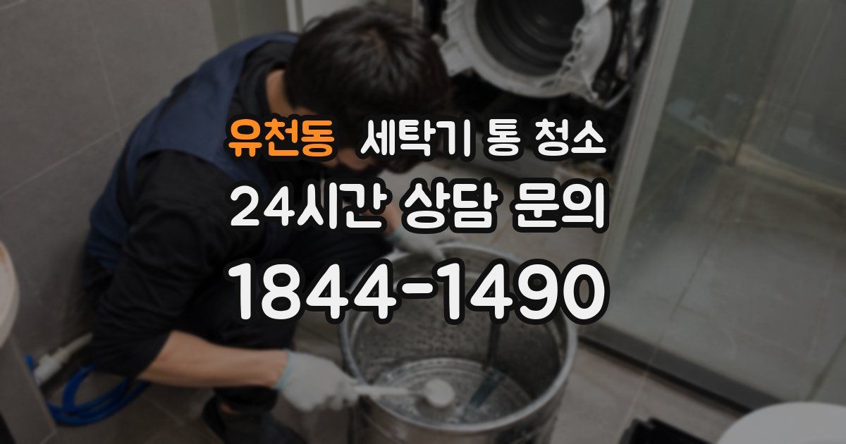 유천동 세탁기 통 청소