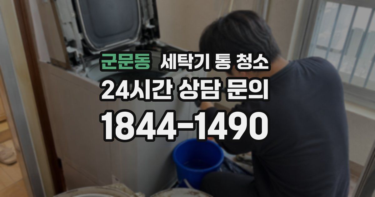 군문동 세탁기 통 청소