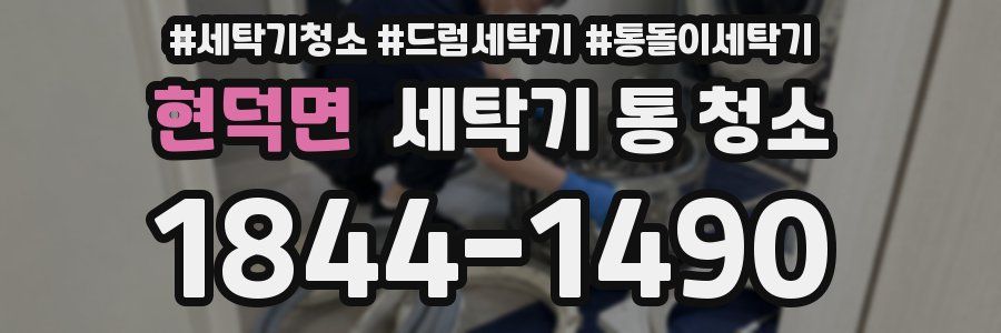 현덕면 세탁기 통 청소