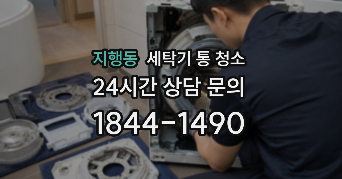 지행동 세탁기 통 청소