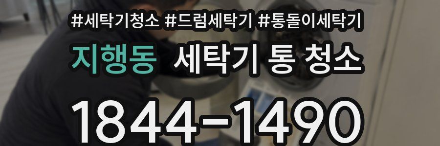 지행동 세탁기 통 청소