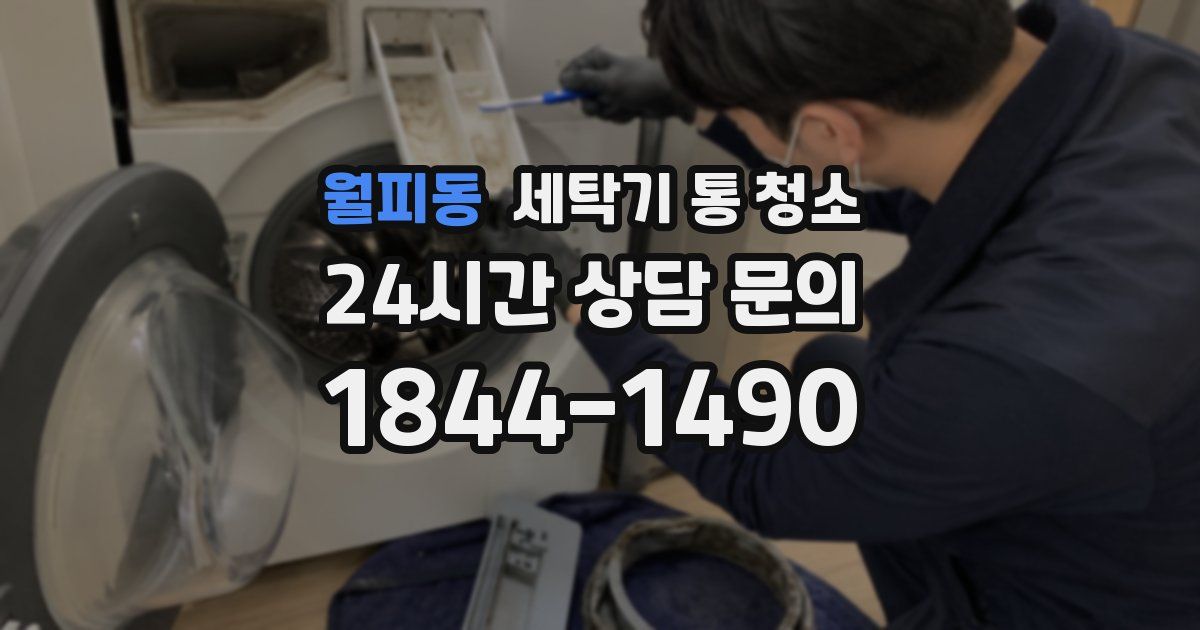 월피동 세탁기 통 청소