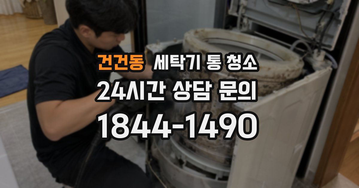 건건동 세탁기 통 청소