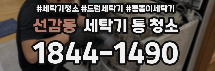 선감동 세탁기 통 청소