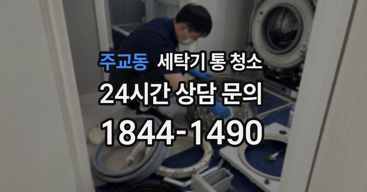 주교동 세탁기 통 청소