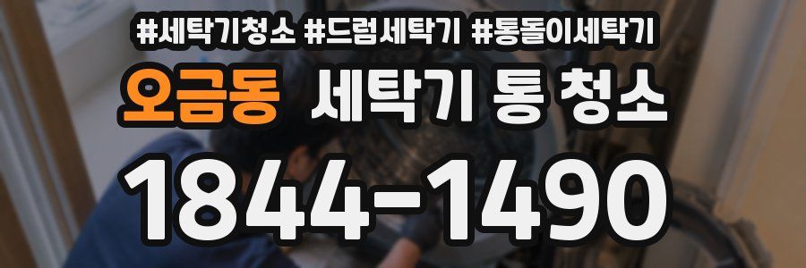 오금동 세탁기 통 청소