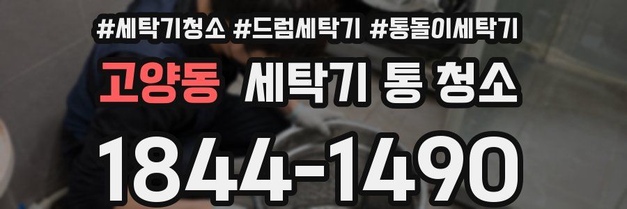 고양동 세탁기 통 청소
