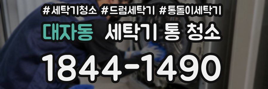 대자동 세탁기 통 청소