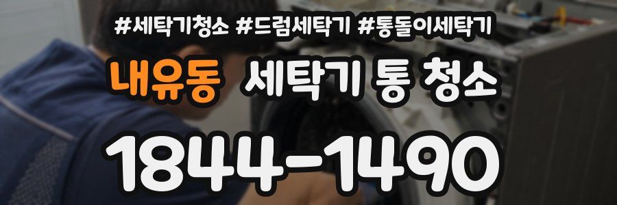 내유동 세탁기 통 청소