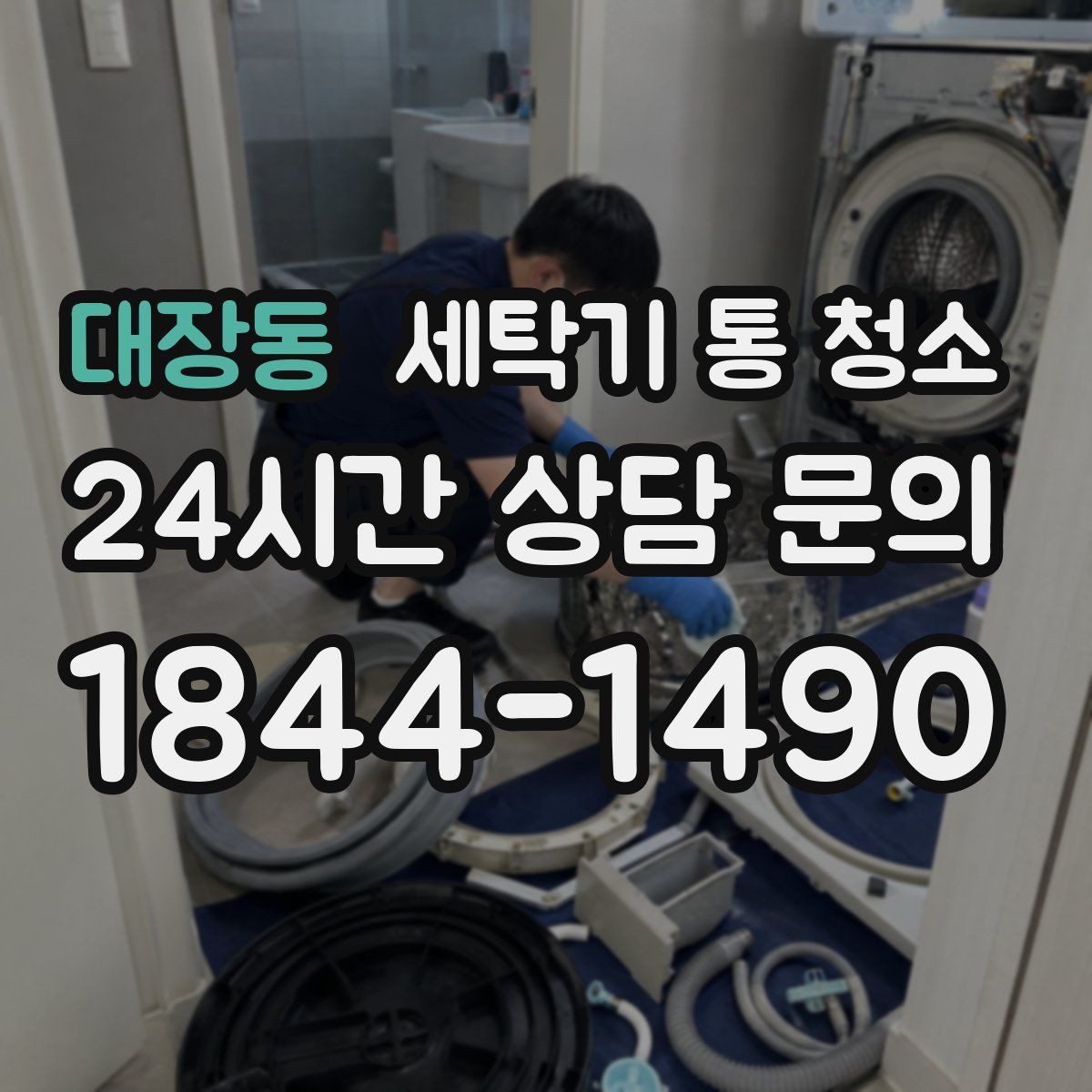 대장동 세탁기 통 청소