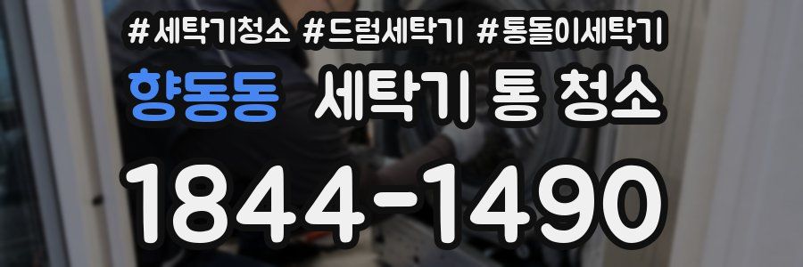 향동동 세탁기 통 청소