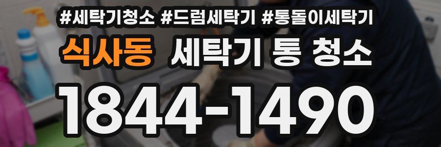 식사동 세탁기 통 청소
