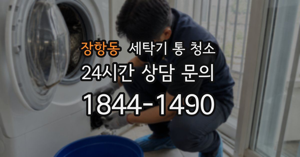 장항동 세탁기 통 청소