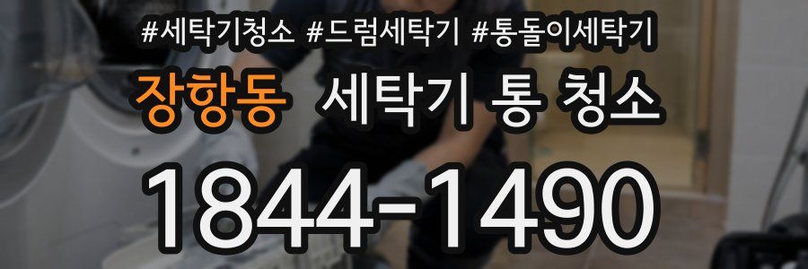 장항동 세탁기 통 청소