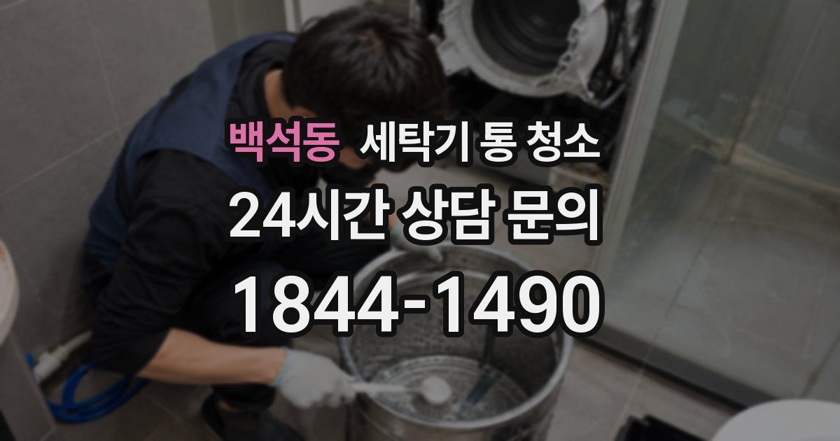 백석동 세탁기 통 청소