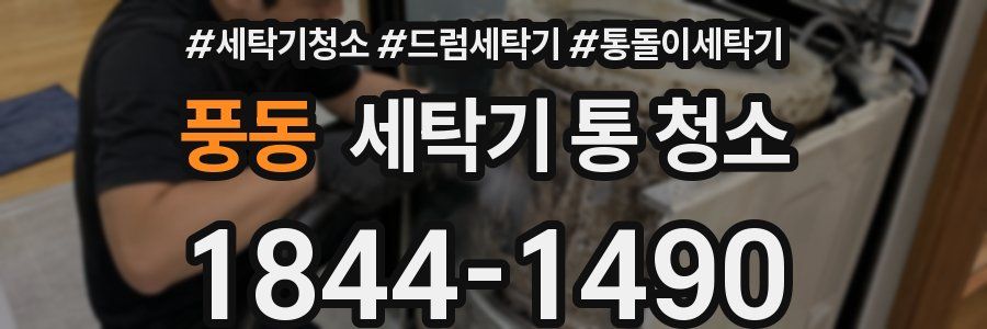 풍동 세탁기 통 청소