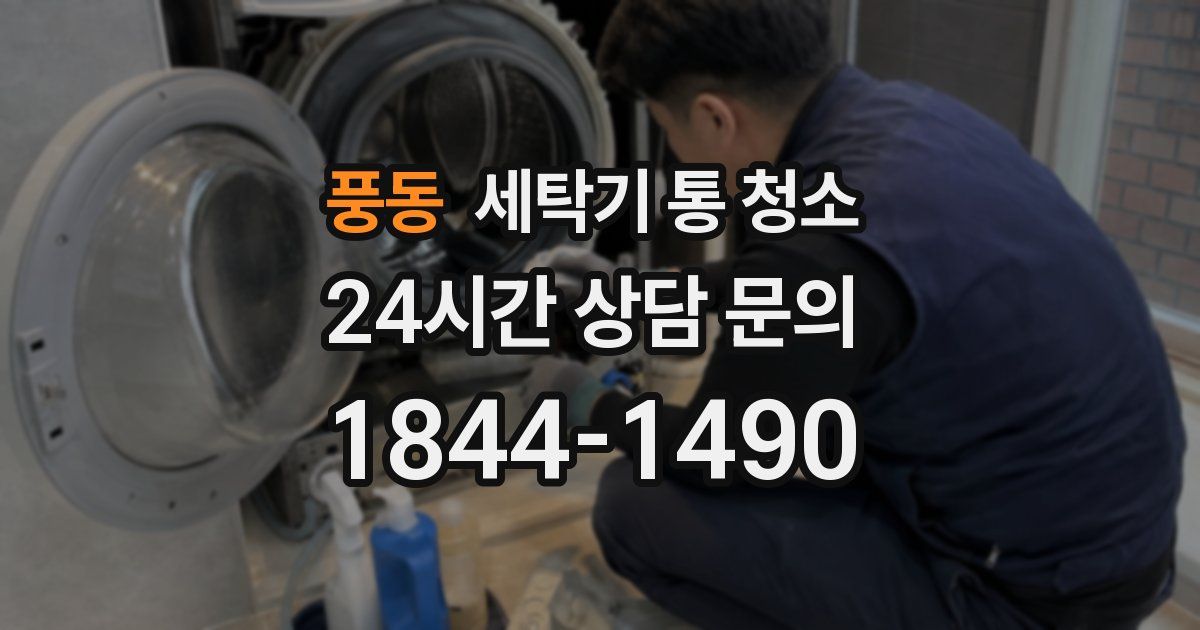 풍동 세탁기 통 청소