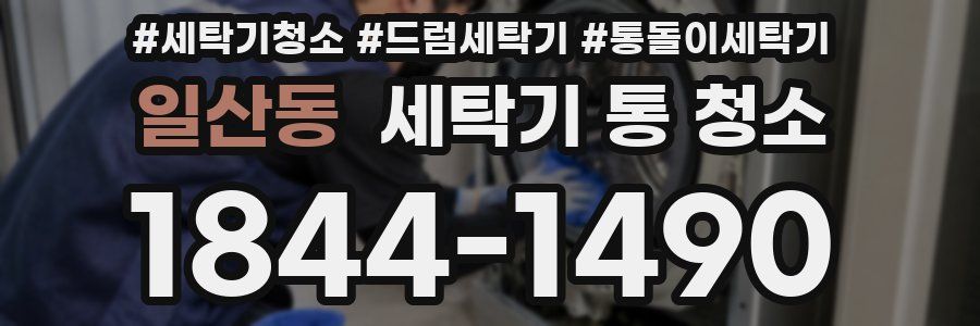 일산동 세탁기 통 청소