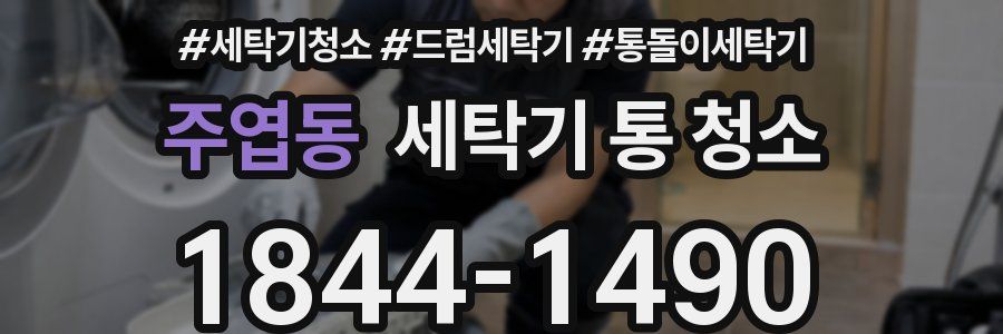 주엽동 세탁기 통 청소