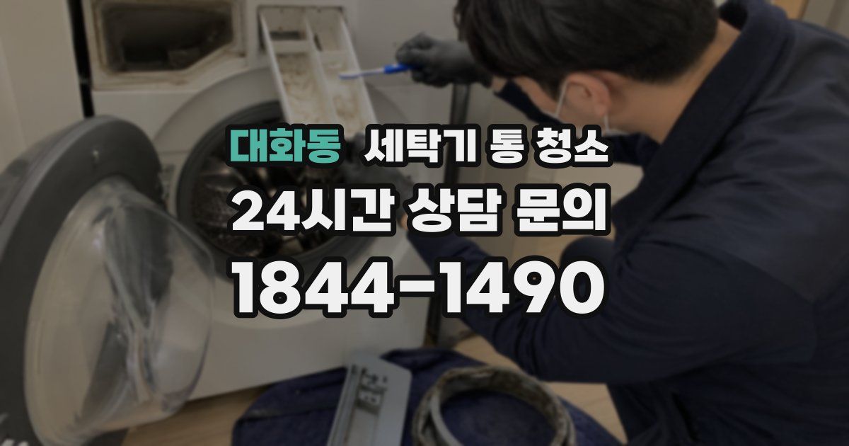 대화동 세탁기 통 청소