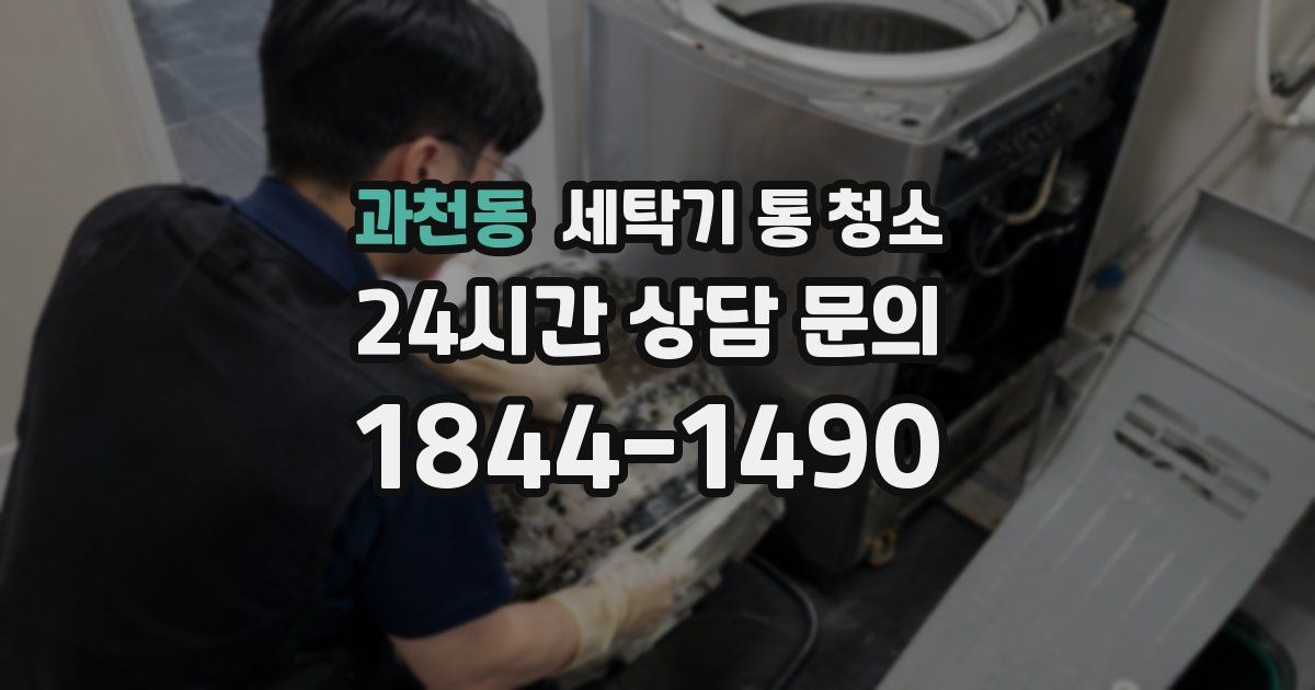 과천동 세탁기 통 청소