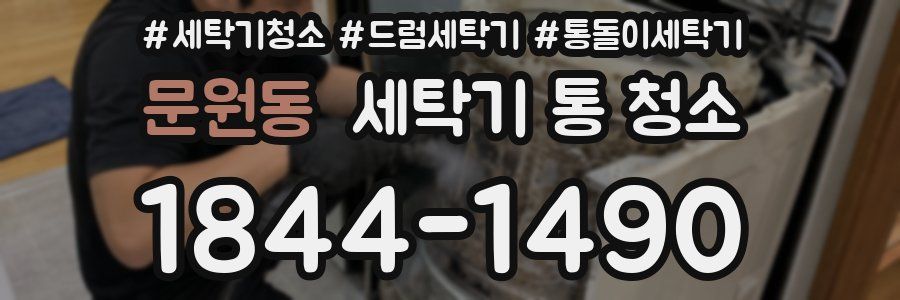 문원동 세탁기 통 청소