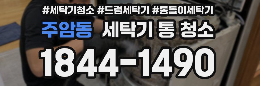 주암동 세탁기 통 청소
