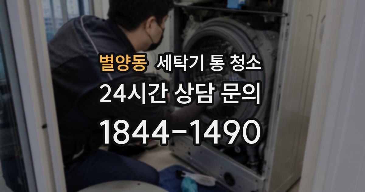 별양동 세탁기 통 청소