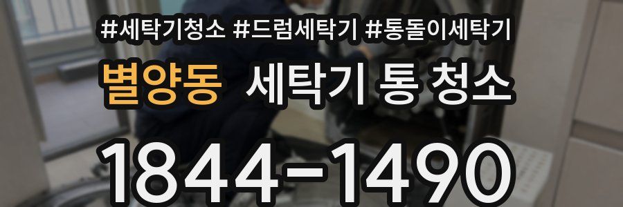 별양동 세탁기 통 청소