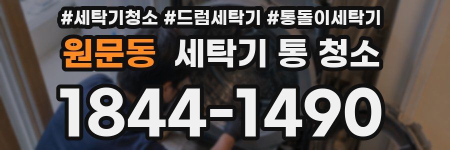 원문동 세탁기 통 청소