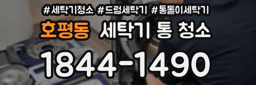 호평동 세탁기 통 청소