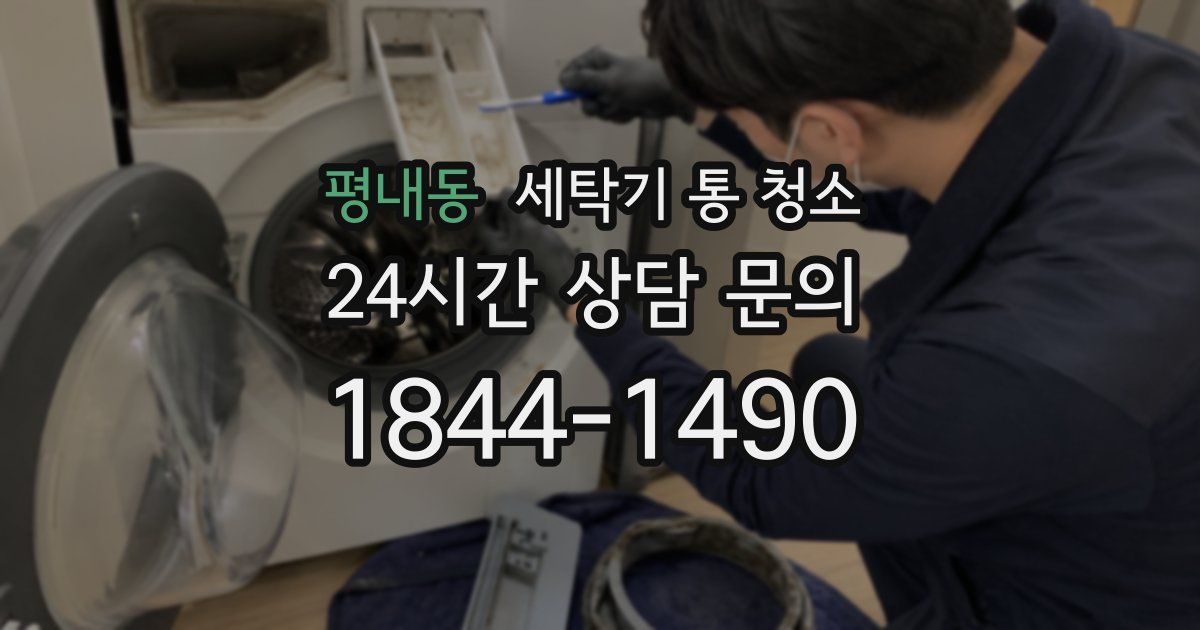 평내동 세탁기 통 청소