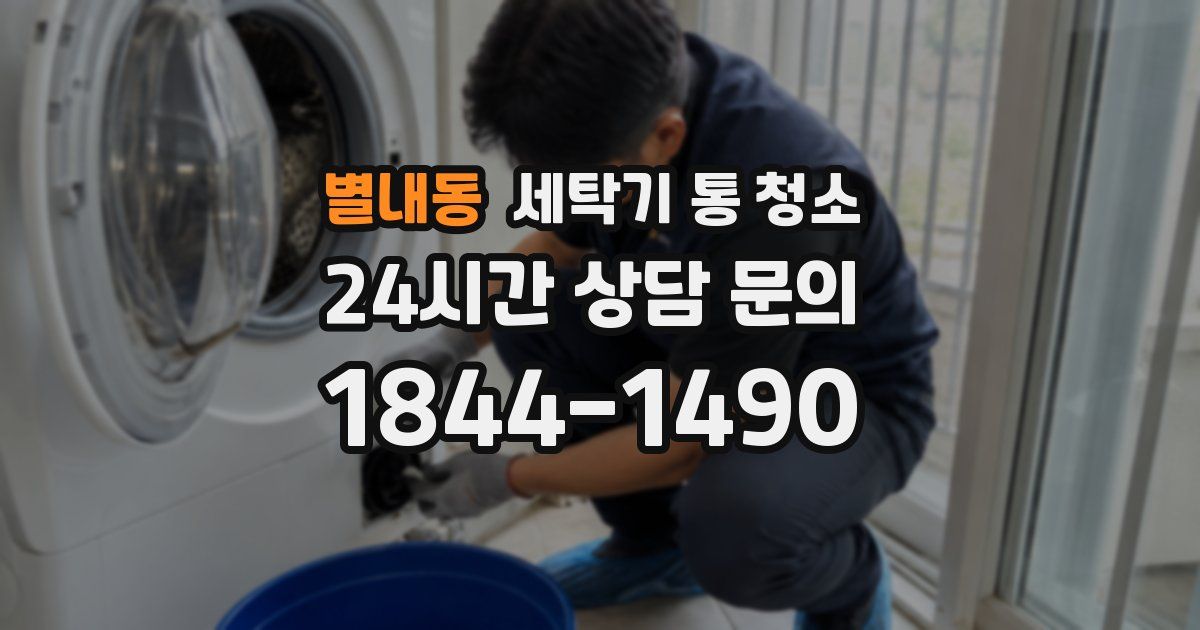 별내동 세탁기 통 청소