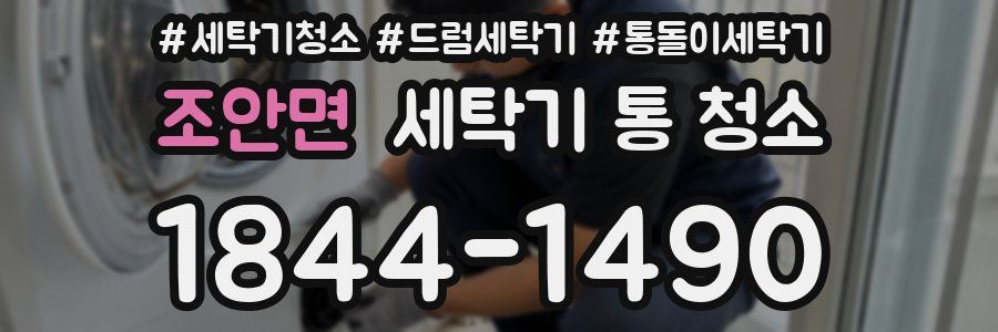 조안면 세탁기 통 청소