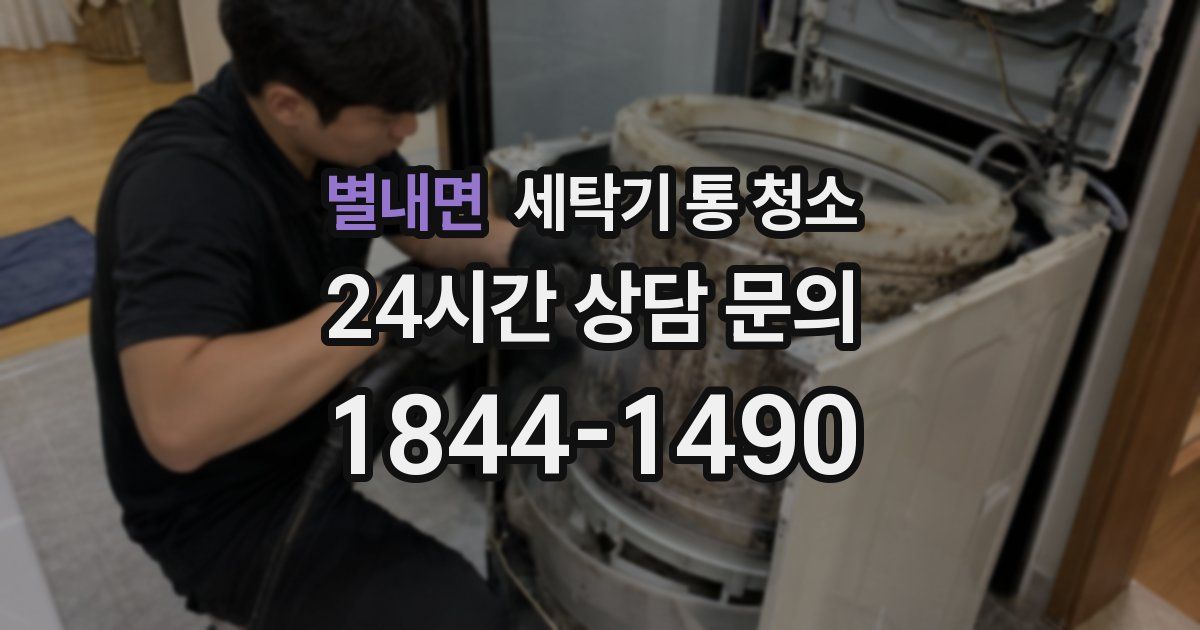 별내면 세탁기 통 청소