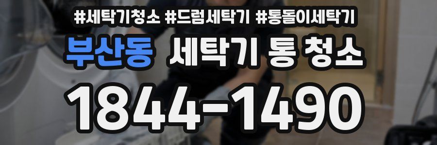 부산동 세탁기 통 청소