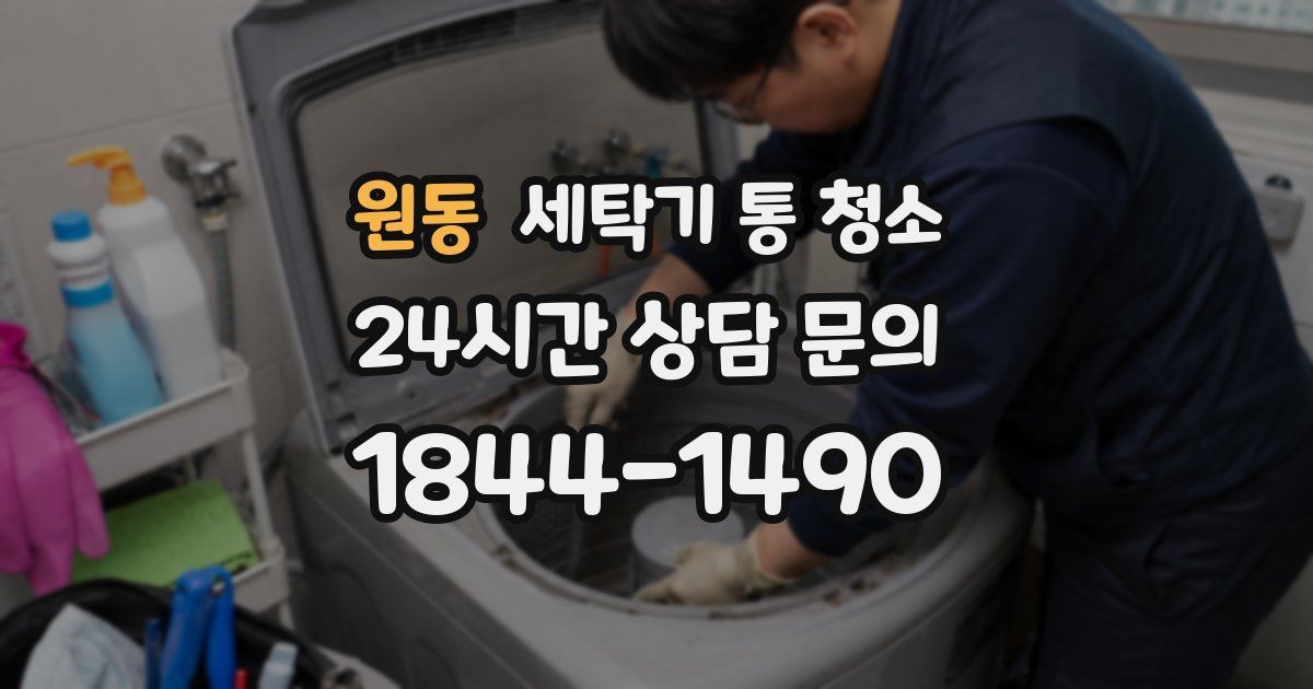 원동 세탁기 통 청소